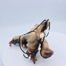 Load image into Gallery viewer, Black Onyx with Pearl Necklace