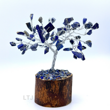 将图片加载到图库查看器,Silver wire-wrapped Gemstone Tree (Extra small)