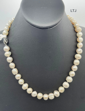 将图片加载到图库查看器,Freshwater pearl with round silver clasp 10mm 20"