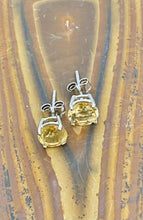 Load image into Gallery viewer, Gemstones with Silver Hard Prong Large Earring