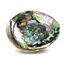 将图片加载到图库查看器,Abalone Bowl with MOP