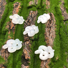 将图片加载到图库查看器,Selenite Snake