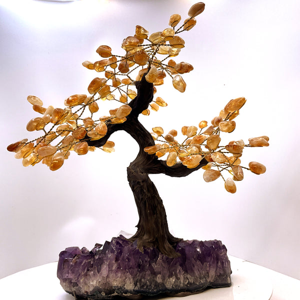 Citrine with Amethyst Cluster Base Tree of Life