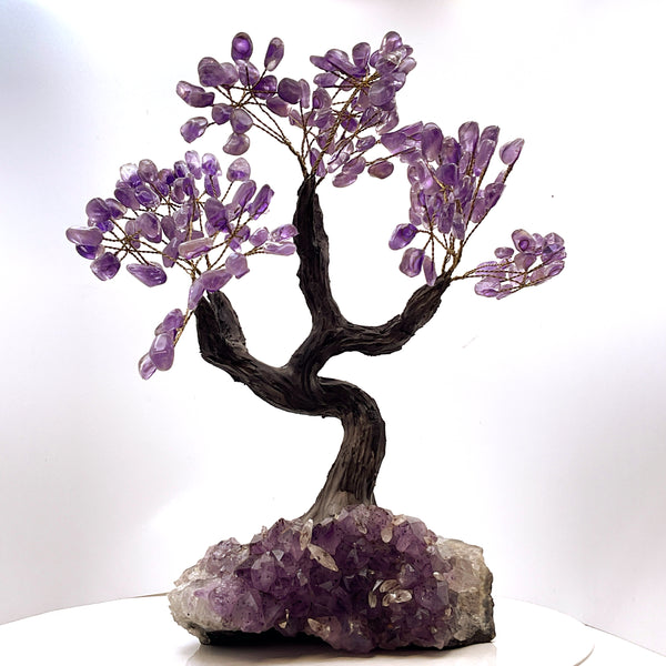 Amethyst with Amethyst Cluster Base Tree of Life