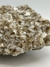 将图片加载到图库查看器,Muscovite