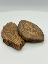 Cargar imagen en el visor de la galería, Petrified Wood Slab