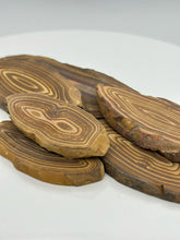 Cargar imagen en el visor de la galería, Petrified Wood Slab