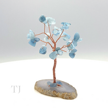 将图片加载到图库查看器,Wire Wrapped Gemstone Tree with Agate base