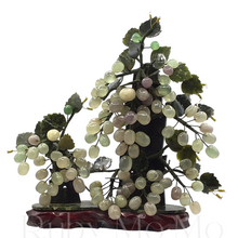 Cargar imagen en el visor de la galería, Jade grape tree