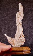 将图片加载到图库查看器,Coral sculpture from republic period