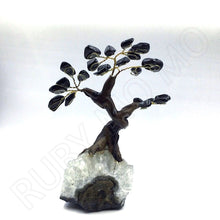 Load image into Gallery viewer, Black Tourmaline Gemstone Tree with quartz base small