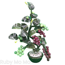 Load image into Gallery viewer, Jade Grape Tree (Medium)