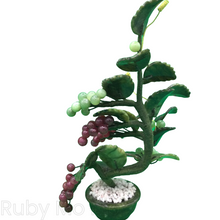 Load image into Gallery viewer, Jade Grape Tree (Medium)
