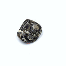 Load image into Gallery viewer, Turritella Fossil Tumbled
