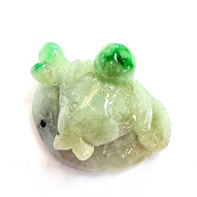 Cargar imagen en el visor de la galería, Burmese Jade Small Fish
