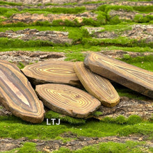 Cargar imagen en el visor de la galería, Petrified Wood Slab
