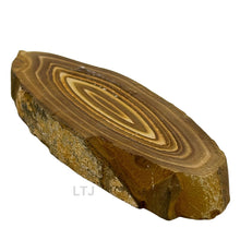 将图片加载到图库查看器，Petrified Wood Slab
