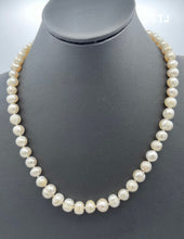 Cargar imagen en el visor de la galería, Fresh water pearl necklace with round sterling silver clasp 18&quot;
