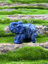 将图片加载到图库查看器，Gemstones Animal Figurine
