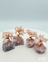 Cargar imagen en el visor de la galería, Wire wrapped Rose Quartz Gemstone tree with Rose Quartz base (Small)
