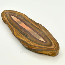 Load image into Gallery viewer, Petrified Wood Slab
