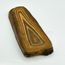 将图片加载到图库查看器，Petrified Wood Slab
