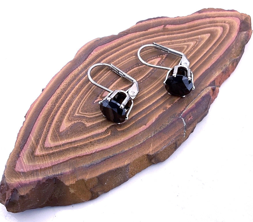 Black Onyx with Silver Lever Back Earring