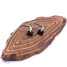 将图片加载到图库查看器，Black Onyx with Silver Lever Back Earring
