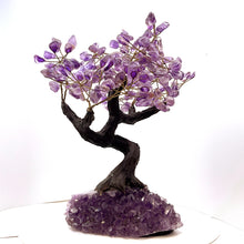 Загрузить изображение в средство просмотра галереи, Amethyst with Amethyst Cluster Base Tree of Life
