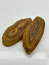 Cargar imagen en el visor de la galería, Petrified Wood Slab
