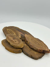 Cargar imagen en el visor de la galería, Petrified Wood Slab
