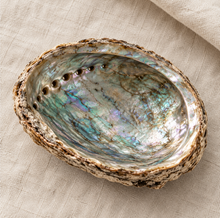 Cargar imagen en el visor de la galería, Abalone Shells
