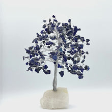 在图库查看器中加载和播放视频，Gemstone Tree (Medium Size)
