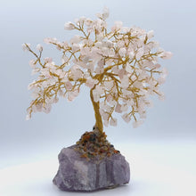 在图库查看器中加载和播放视频，Gemstone Tree (Medium Size)
