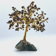 在图库查看器中加载和播放视频，Gemstone Tree (Medium Size)
