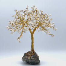 在图库查看器中加载和播放视频，Gemstone Tree (Medium Size)
