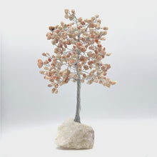 在图库查看器中加载和播放视频，Gemstone Tree (Medium Size)
