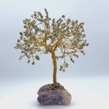 在图库查看器中加载和播放视频，Gemstone Tree (Medium Size)
