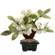Load image into Gallery viewer, Jade Tree
