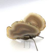 将图片加载到图库查看器，Brown Agate slice butterfly figurine
