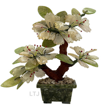 Load image into Gallery viewer, Jade Tree
