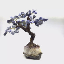 Load and play video in Gallery viewer, Sodalite Gemstone Tree in Amethyst Base
