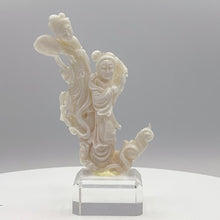 Загружайте и воспроизводите видео в средстве просмотра галереи 20th Century Angel Skin Coral Sculpture 
