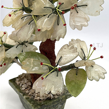 Load image into Gallery viewer, Jade Tree
