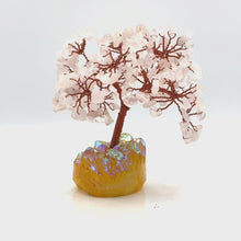 在图库查看器中加载和播放视频，Rose Quartz Gemstone Tree
