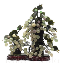 Load image into Gallery viewer, Jade grape tree
