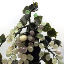 Load image into Gallery viewer, Jade grape tree
