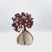 Load and play video in Gallery viewer, Garnet Tree with Quartz base
