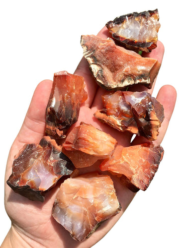 Carnelian Rough Stones on a hand