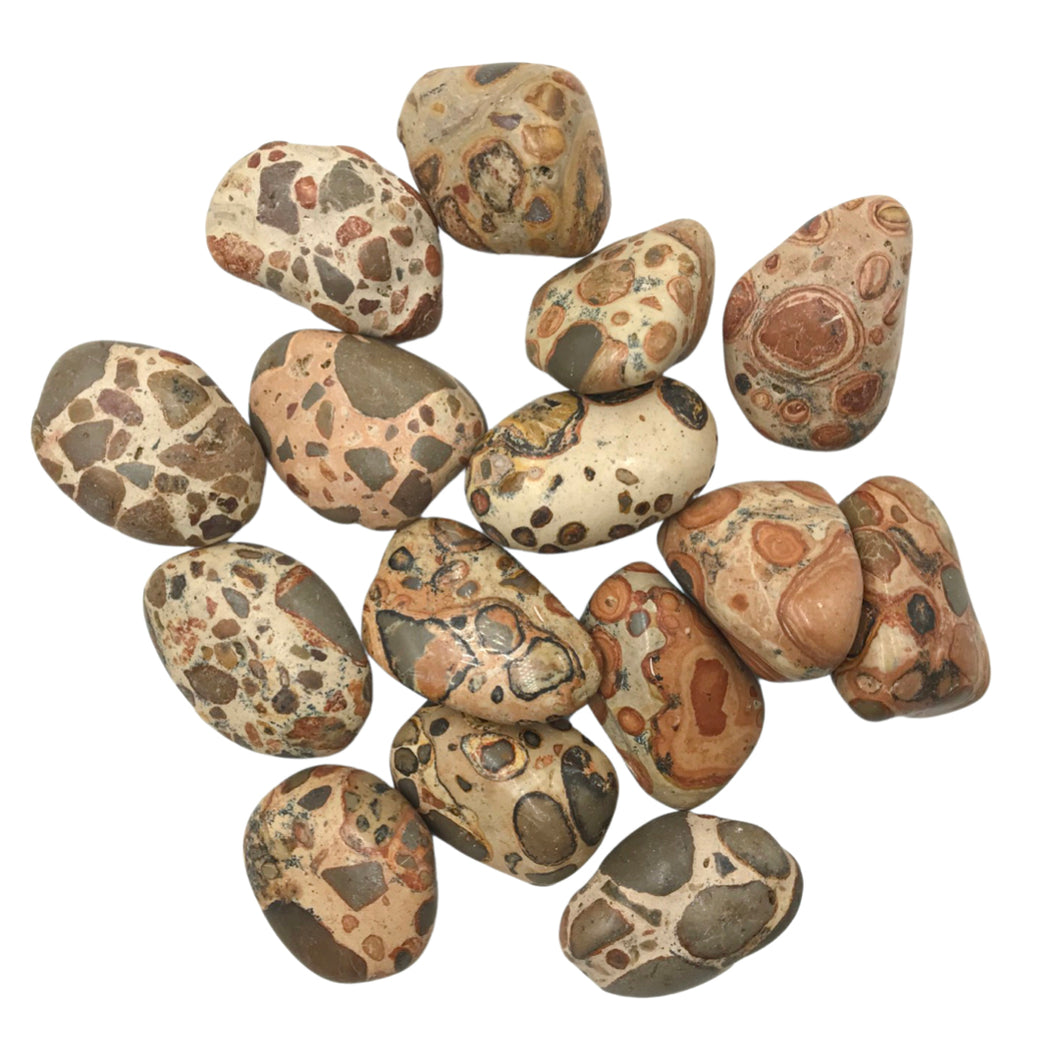 Leopard Skin Jasper Tumbled